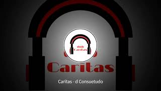 Caritas - d Consuetudo (Official video) #music #caritas #dnb #dconsuetudo #drumandbass