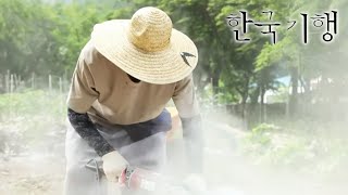 한국기행 - Korea travel_쉼이 필요한 당신에게 2부- 산사의 뜨락에서_#001