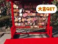 チワワdom伊豆高原の神祇大社にお参りさせて頂きましたー！