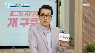 위험천만! 황당 요법 '개 구충제', MBC 210226 방송