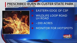 Custer State Park prescribed burn held