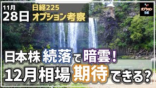 【日経225オプション考察】11/28 日本株 続落で急落懸念！ 12月相場に上昇期待はできるのか!?