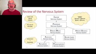 Paramedic Neurological Assessment 1 - Introduction