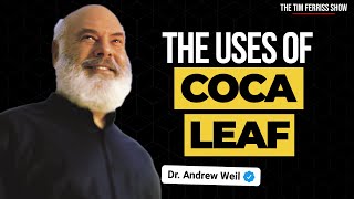 Coca Leaf: Uses, Legalization, and More | Dr. Andrew Weil