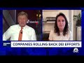 Companies rolling back DEI efforts: Here's why