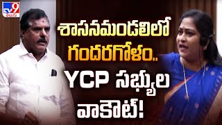 శాసనమండలిలో గందరగోళం.. YCP సభ్యుల వాకౌట్! | AP Legislative Council - TV9