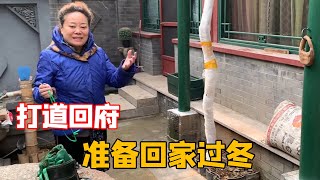 郊区小院和市中心小院有什么区别？胡同里被认出来是什么感受？北京张带你看北京胡同！【北京爷们生活栏目】