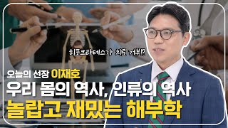 상상초월! 놀라운 해부학의 시작과 발전ㅣ해부학ㅣ이재호 선장 ⚓️ [보물지도]