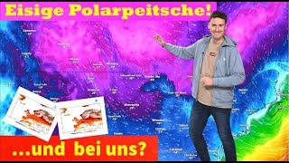 Polarpeitsche bringt \