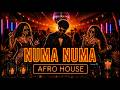 🔥Dan Balan - Numa Numa \\ Afro House Remix AfroZon 🔥
