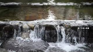 轟水源2 (熊本県) - Japan  Kumamoto Todoroki Water Source 【癒し音楽 自然の音】【ASMR】