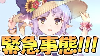 【プリコネR】マジかよやばいｗｗ水着リトリリが遂に実装されちゃうぞおおお！！これはへんたいふしんしゃさん狂喜乱舞！念願の夢が叶った…【キョウカ】【ミソギ】【ミミ】【リトルリリカル】