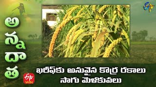 ఖరీఫ్‌కు అనువైన కొర్ర రకాలు  సాగు మెళకువలు | Foxtail varieties & tips for kharif cultivation | ETV