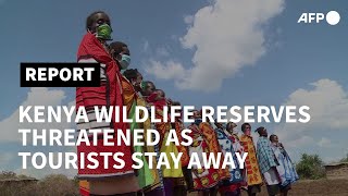 Kenya wildlife reserves threatened as tourists stay away | AFP