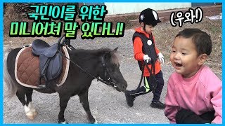 국민이 위한 아주 작은 미니어쳐 말이 있다니! 보셨나요? 작은 아빠 말이야 등장 ㅋㅋㅋ 꿀잼 체육 유형 국민체육진흥공단 체육시설알리미 승마 체험 | 말이야와친구들