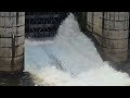 ഇടമലയാർ കാട്ടിലൂടെ bhoothathankettu dam s23 vlog part 8