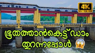 ഇടമലയാർ കാട്ടിലൂടെ | Bhoothathankettu dam | S23 Vlog - Part 8