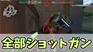 ショーティバッキージャッジクリップ集【ヴァロラント】