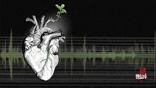 STWN - Interim Stating