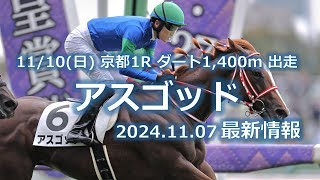 アスゴッド 11/10(日)京都1R ダート1,400m出走確定