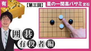 【囲碁有段者向け】 星の一間高バサミ定石 #3 「トビの変化」 ~プロ棋士 柳澤理志~