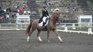 第52回関東学生賞典馬場馬術競技　3年　吉永　一篤　桜檎