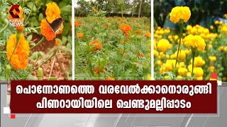 പൂത്തുലഞ്ഞ് കണ്ണൂരിൽ കർഷക കൂട്ടായ്മയൊരുക്കിയ പൂപ്പാടം l Onam l Pinarayi | Kairali News