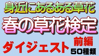 春の草花検定特別企画－ダイジェスト版前編－春の草花検定１０級から６級までの全５０問を一気に見せます！【草花初心者大歓迎】草花・野草の名前を覚えたい人必見です。何度でも反復すれば誰でも名前をマスター。