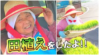 ばあちゃんと田植えをしたよ!!