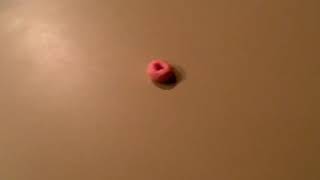 microwaving a froot loop