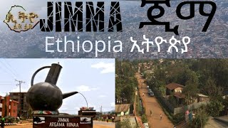 @Ethiolyulyu #ጂማ ኢትዮጵያ //Jimma Ethiopia #guzo Ethiopia