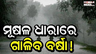 ୧୯ରେ ହେବ ଆଉ ଏକ ଲଘୁଚାପ! କଣ କହୁଛି ପାଣିପାଗ ଦେଖନ୍ତୁ || Odisha Weather Update || Bhubaneswar Weather News