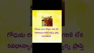 ఐశ్వర్యప్రాప్తి కోసం#moneytips#money#remedies#moneymantra#share#ytshort#ytshorts#yt