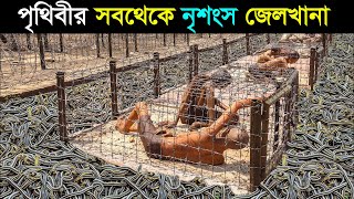 সেই জেল যেখানে গেলেই মানুষ মারা যায় | 8 Most Dangerous Prisons In The World | Bengali |