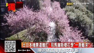 比日本機票還難訂！ 司馬庫斯櫻花季「一房難求」-劉佩綺《東森財經晚報》2022／10／03 @57ETFN