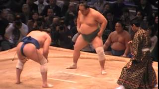 2014年11月場所6日目　阿夢露　vs　北太樹　【阿夢露が流血・・・】