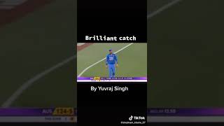 Brilliant catch by yuvraj singh