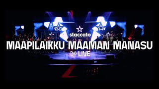 Maapilaikku |Staccato | Freshly Brewed