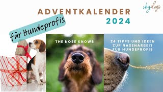 Adventkalender 2024 für Hundetrainer und Profis - Was erwartet dich?   Ein kurzer Einblick