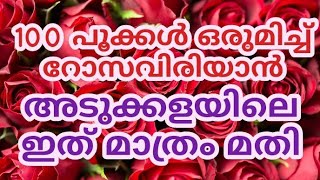 റോസ് വേഗം കൊഴിഞ്ഞ് പോയോ? അടുക്കളയിലെ ഇത് കൊണ്ട് നിറയെ പൂക്കൾ  നിറയ്ക്കാം | #jamanthipookkal