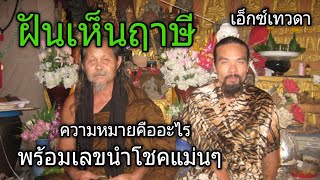 ฝันเห็นฤาษี ความหมายคืออะไร มีเลขเสี่ยงโชคตัวไหนบ้าง#เอ็กซ์เทวดา