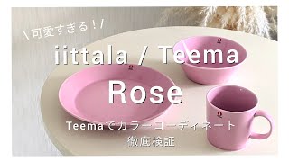 iittala/Teema④〜Teema『Rose』が可愛すぎる！|| Rose × ティーマ各色とのカラーコーディネートを徹底検証✨