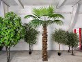 Outdoor Uv Protected artificial palm tree