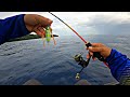 SPOT IDAMAN SEMUA PEMANCING PASTI PANEN STRIKE IKAN LEZAT || ULTRALIGHT JIGGING - MARATUA