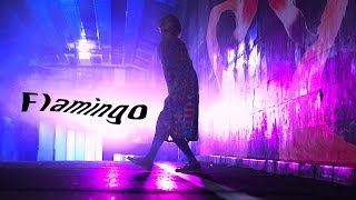 【MV】Flamingo / 米津玄師 Covered by あさぎーにょ