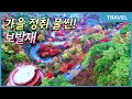 굽이굽이 단풍길 '울긋불긋' 가을 정취 물씬! 단양 보발재 전망대,#보발재 전망대,#보발재, #단양가볼만한곳, 만추의 절경 뽐내는 단양 '보발재' 관광사진 대상 받았던 이 곳!!