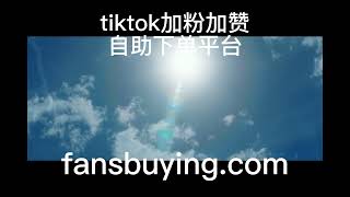 tiktok加粉平台，代理网站，刷粉刷赞自助下单