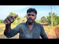 வைத்தியர் ஒருவரின் அடாவடியால் நடுத்தெருவில் விவசாய குடும்பம் srilankanvlog archchuna mr.sumith