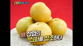 알쓸신농▶이번 추석에 쓸 배, '신화' 너로 정했다