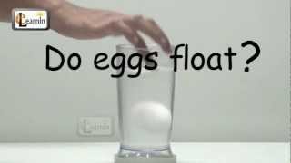 Eggs floating in salt water - Science Experiment for School Kids